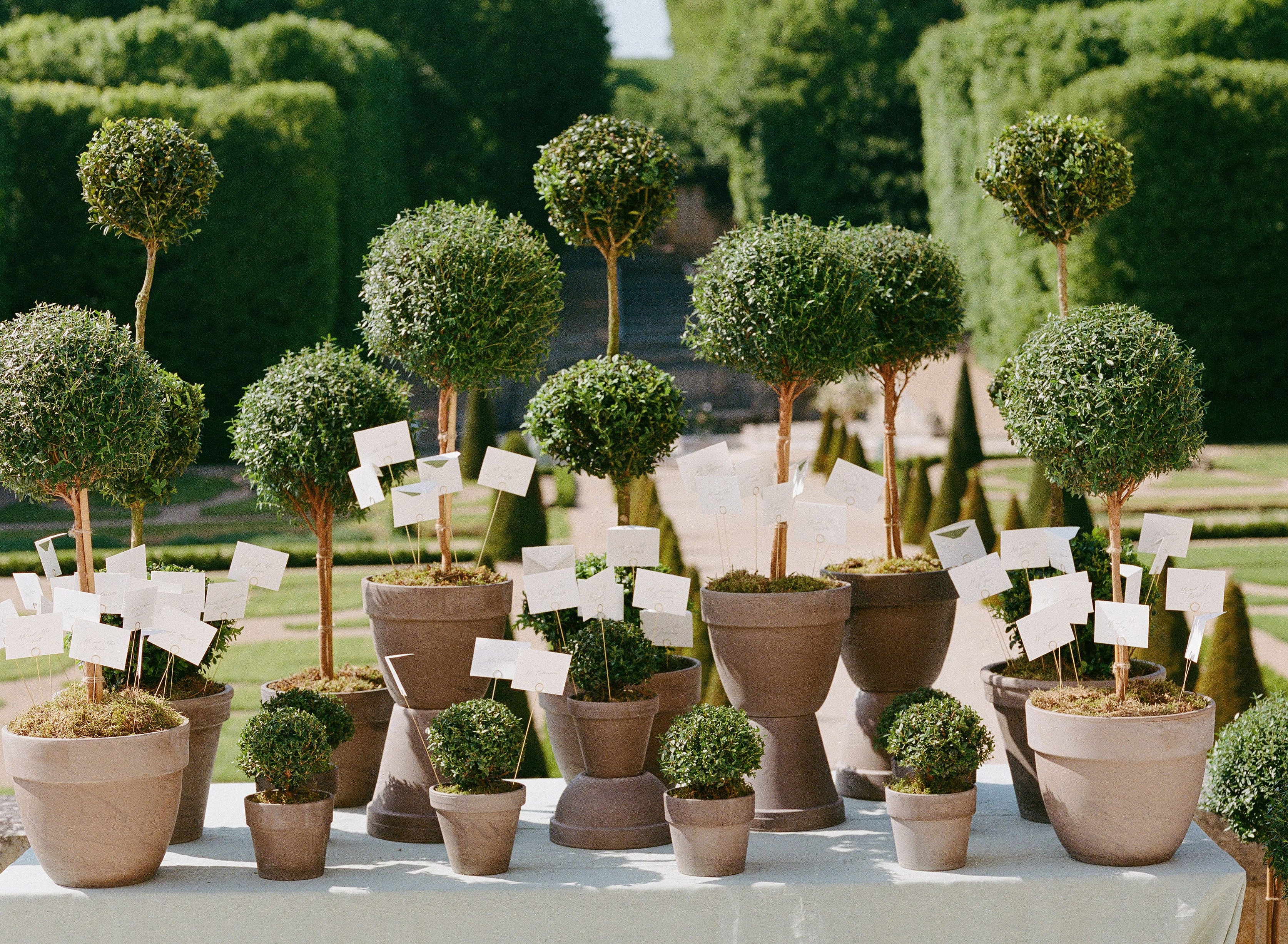 Sustainability: The Ultimate Guide to Eco-Friendly Luxury Weddings